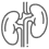 Nephrology